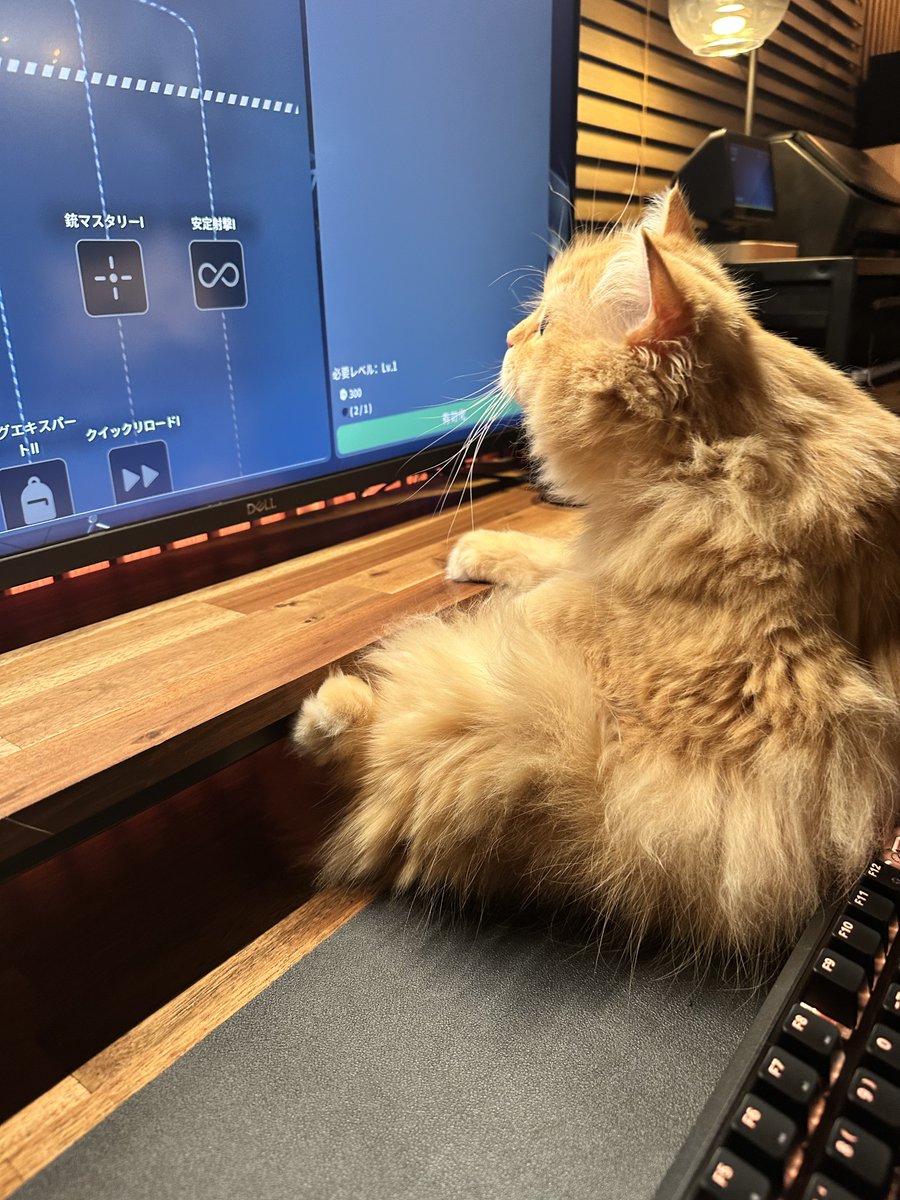 『テレビを近くで見ると目を悪くするよ』と言っても聞かない子供みたい👶