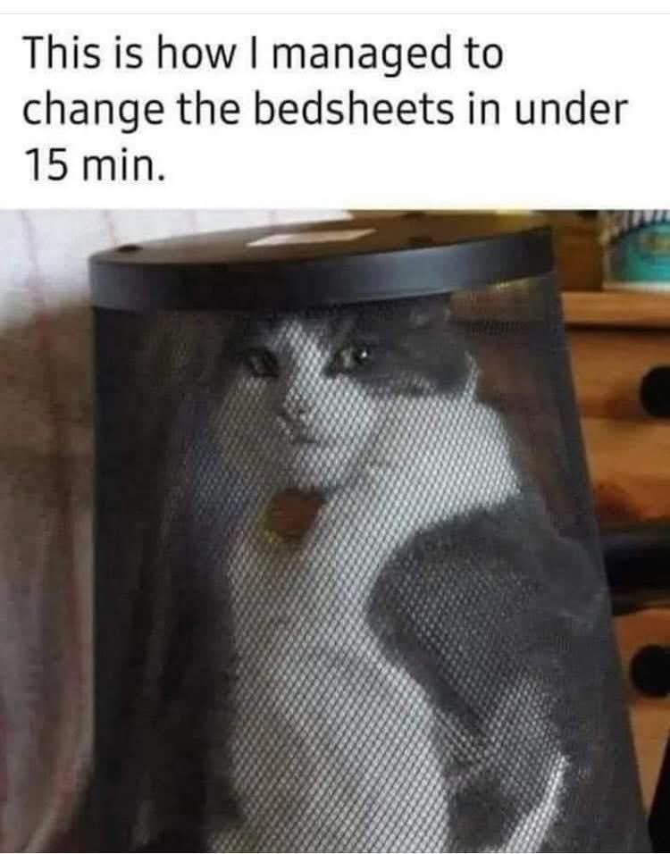 Kimberly 🖤 (@kimmyjzup) on Twitter photo 