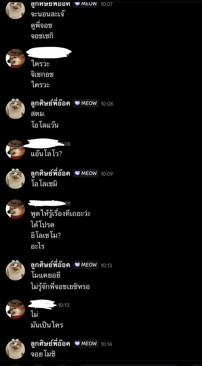 Shiber 🐶⭐️ | VStreamer tweet media