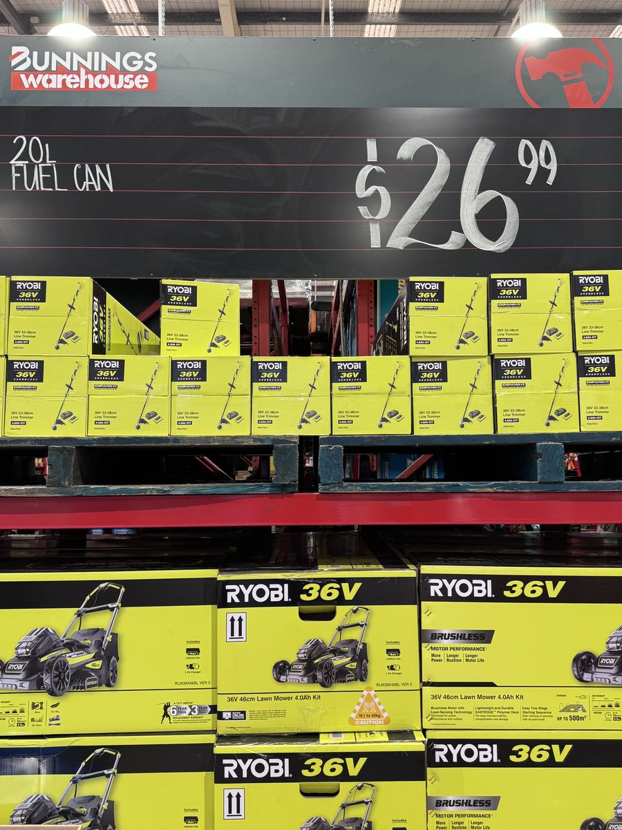 Professor Jana Bowden tweet media