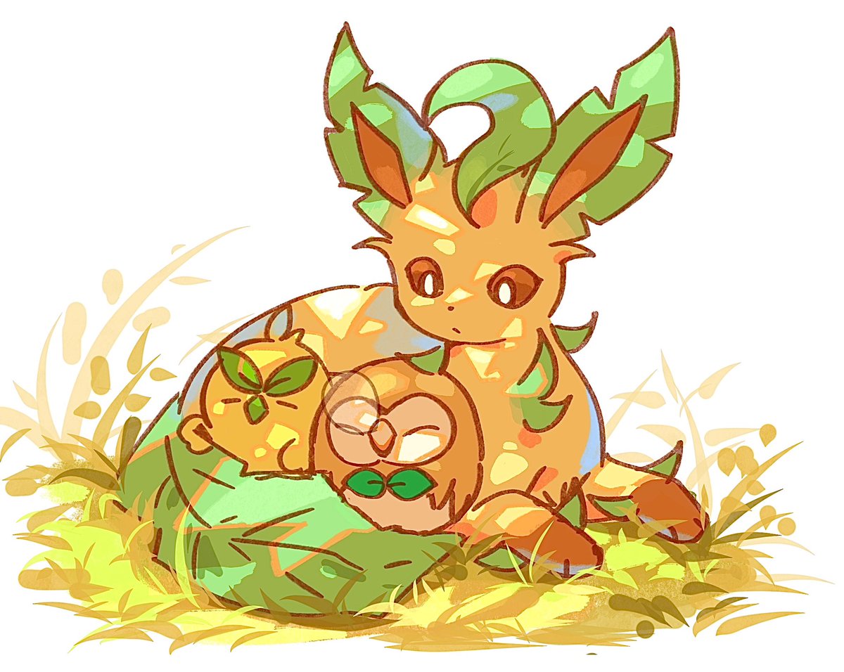 세쾅이 / セクァンイ tweet media