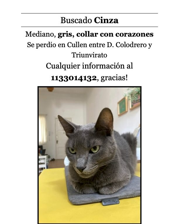#Perdiamigato 📢📢📢
RT RT RT
GATITA PERDIDA EN VILLA URQUIZA!
CONTACTO EN LA FOTO
#gatitosperdidos