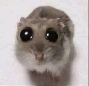 Sunny_ll tweet media