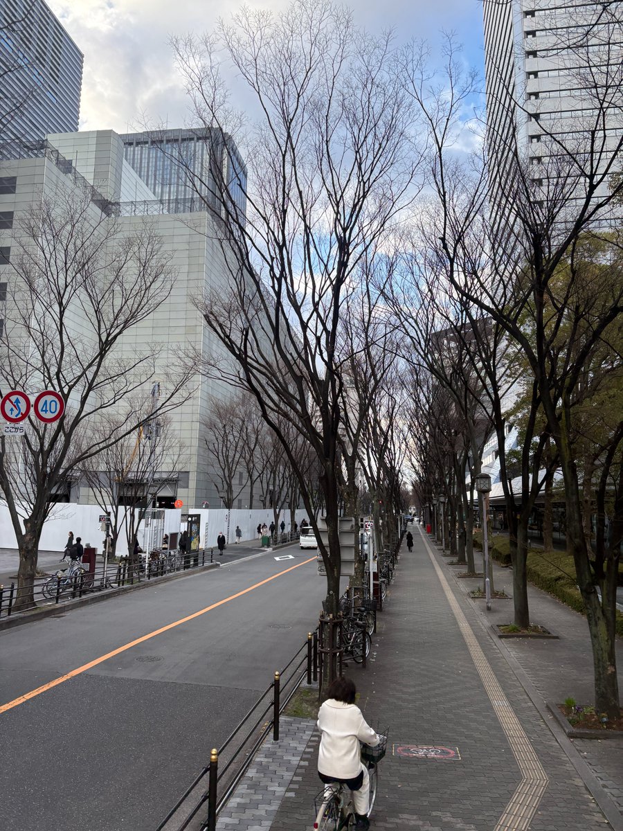 おはようございます！
21号機です

かようび大阪市は晴れ🌤
大阪城ホールの
向こう岸に巨大行列

ちゃんみなさんグッズ？
すごすぎる・・・

本日も悩み無用で
まいりましょう(*'▽')/

 #企業公式が毎朝地元の天気を言い合う