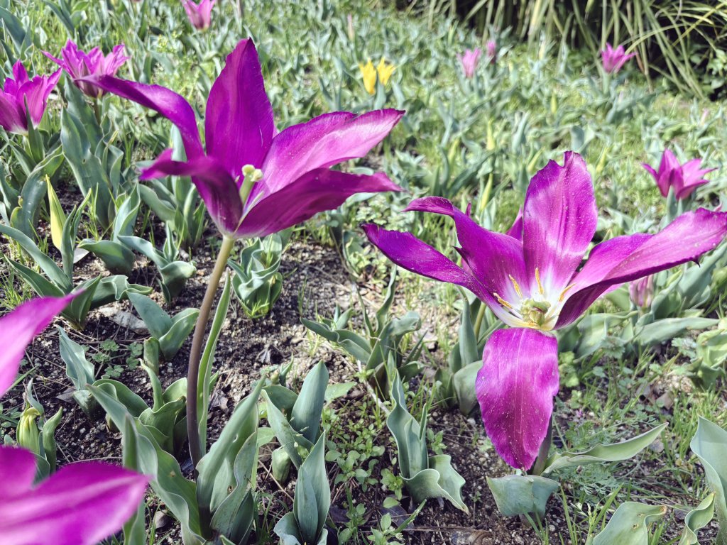 লেডি ডন 💃 tweet media