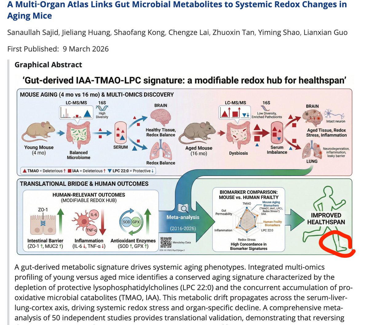 suika.sui | 648.sui tweet media