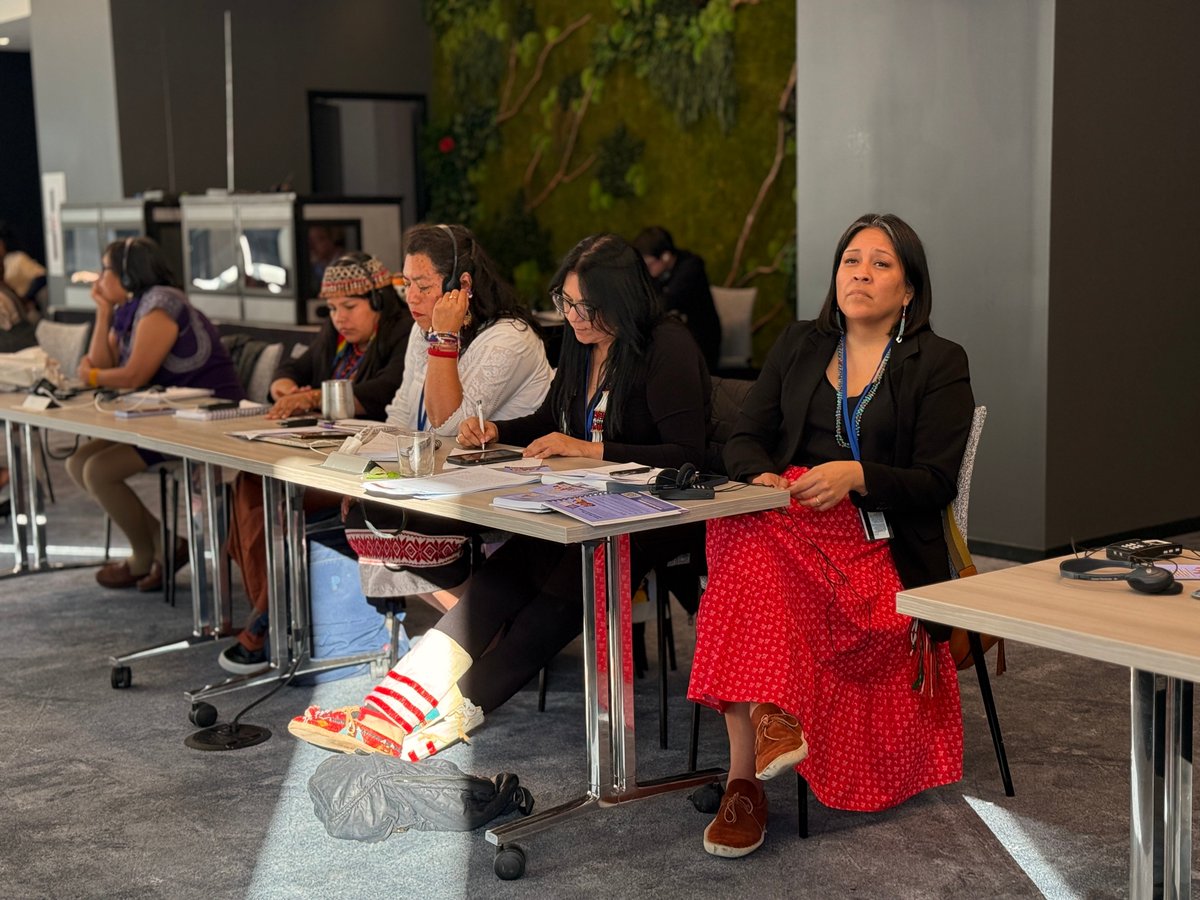 FIMI-IIWF tweet media