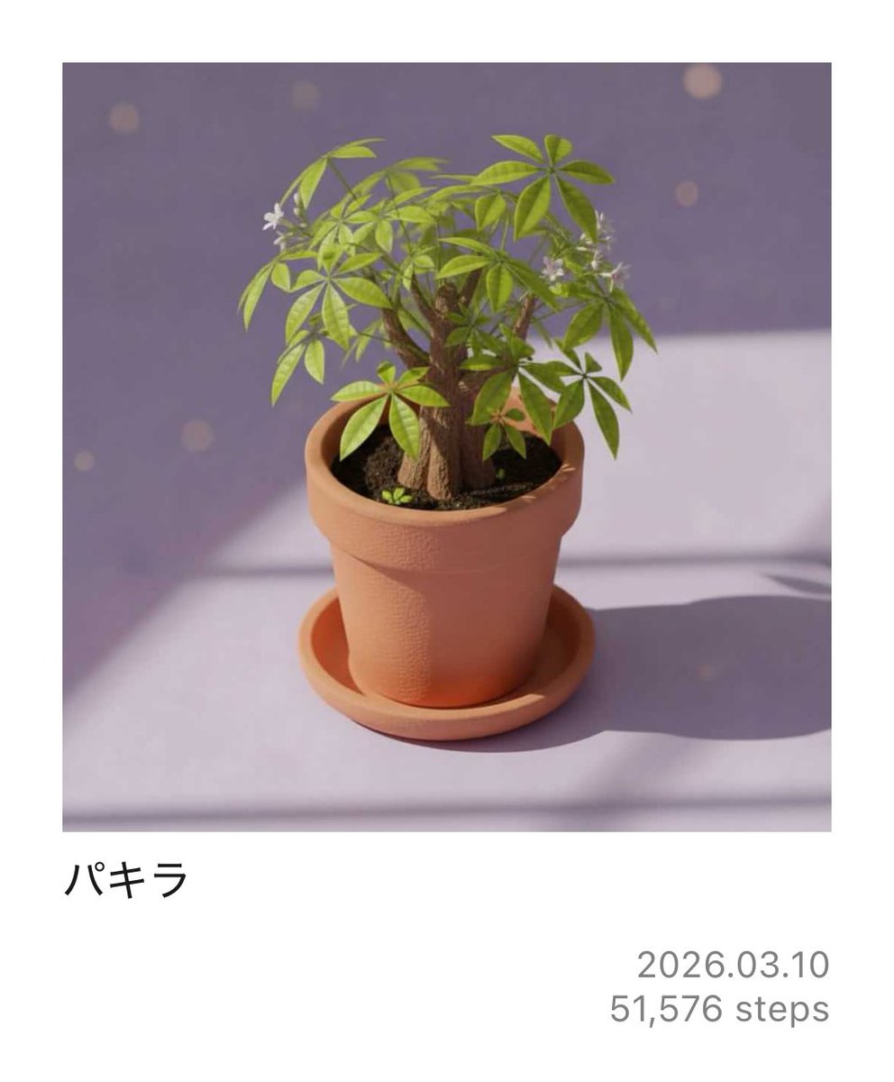 MINUI / みぬい tweet media