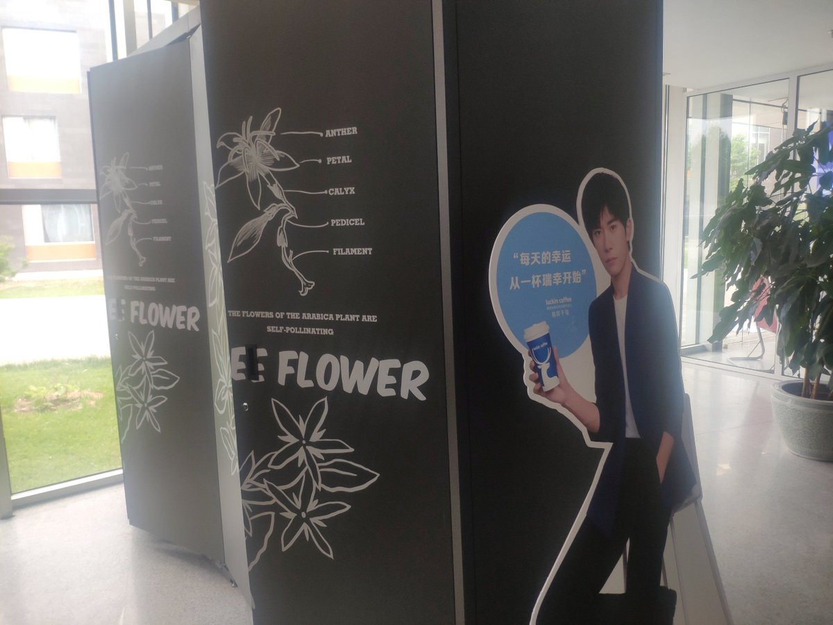 Jsees Cohne. tweet media