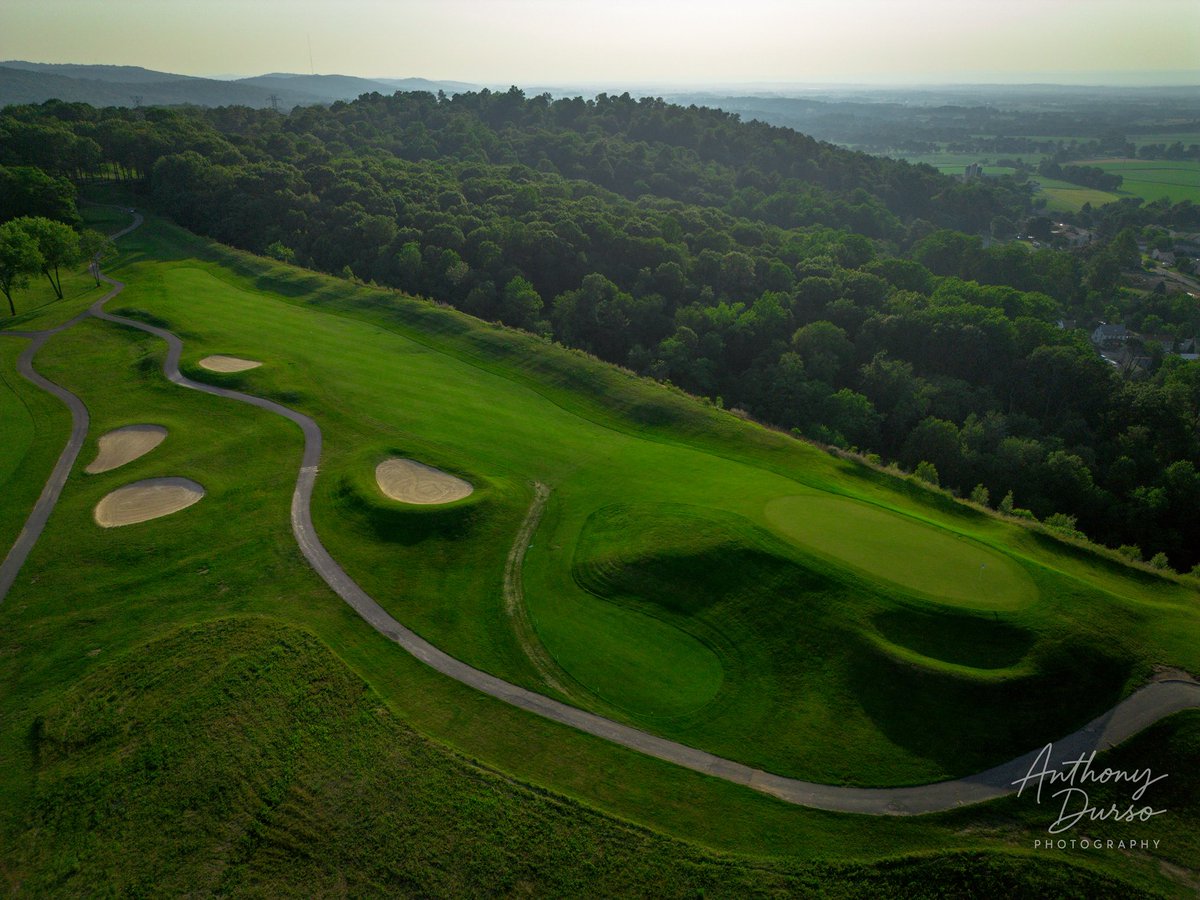 Anthony Durso tweet media