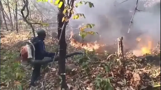 kalingatv's tweet photo. Forest fires erupt in Daspalla Forest Range; Officials struggle to bring blaze under control
#Daspalla #forestrange
https://t.co/F0cWLmXHxi https://t.co/aubRyVTjYz