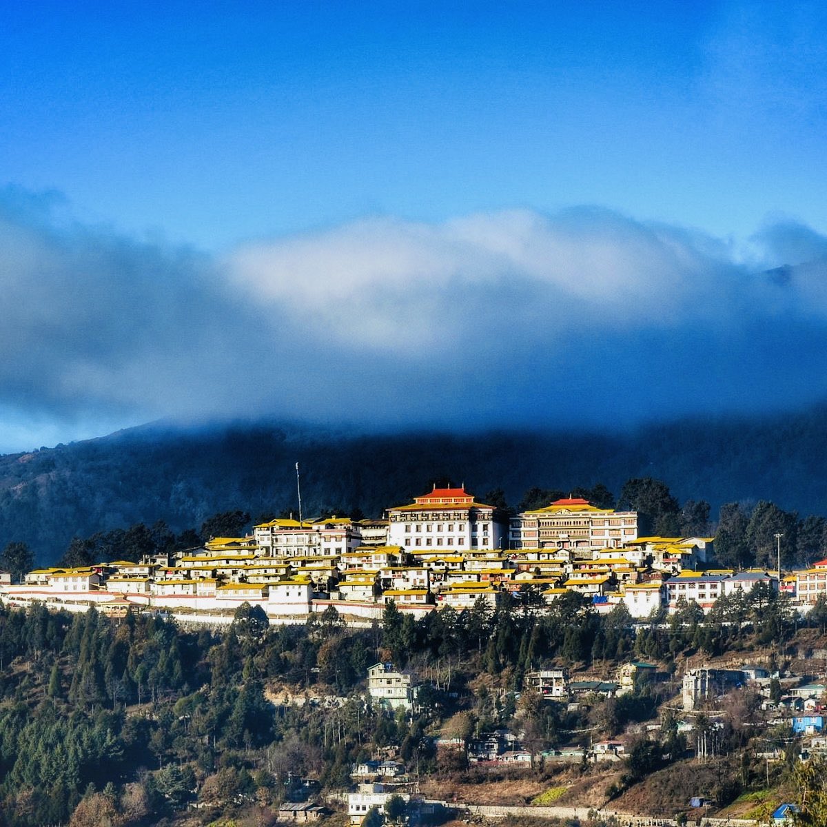 From the Hills of Nagaland. tweet media
