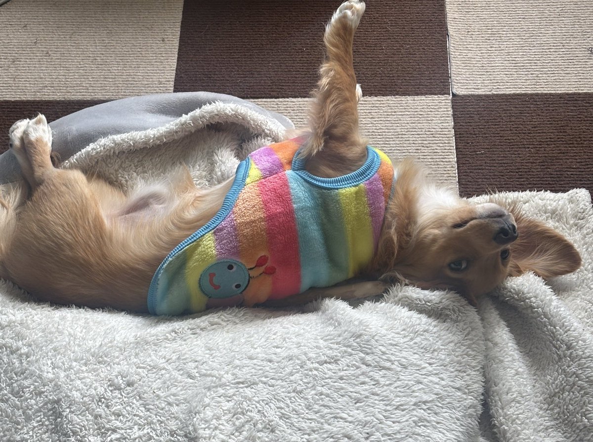 水野大助 tweet media