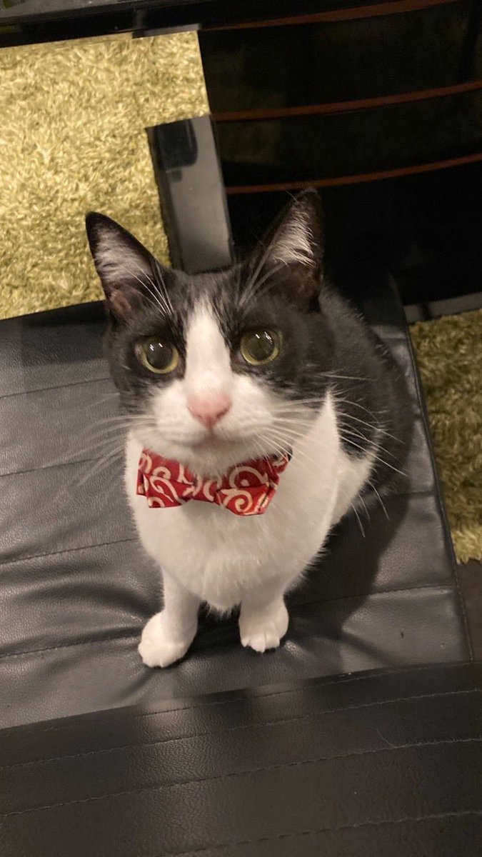 ほわらんろんらいあん tweet media