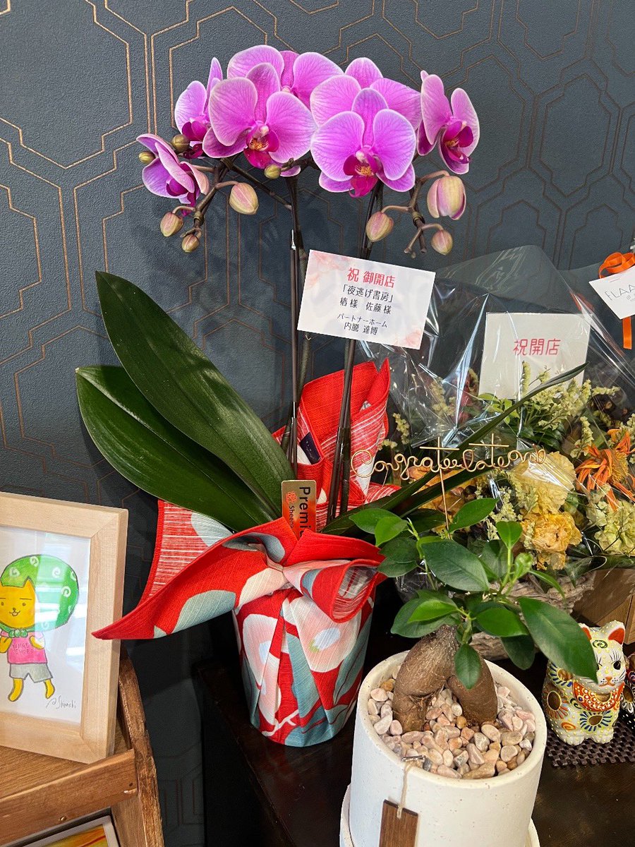 夜逃げ書房 tweet media