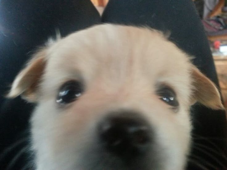 유기농똑똑이 tweet media