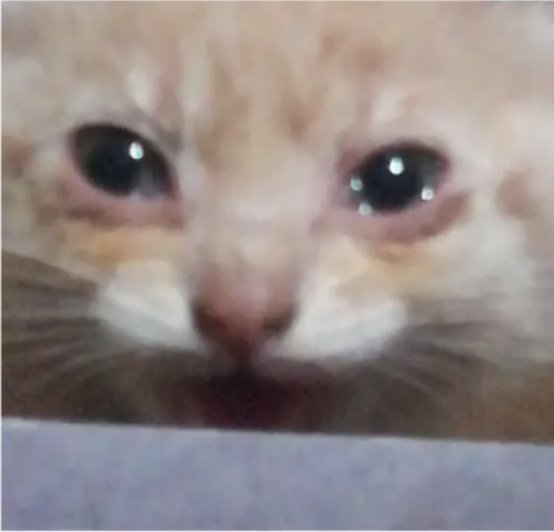 manchitas_elcat's tweet photo. Hoy grito con FUERZA!! #FREEPATO
#FiebreDeBaileCHV https://t.co/BxMfpw7D5K