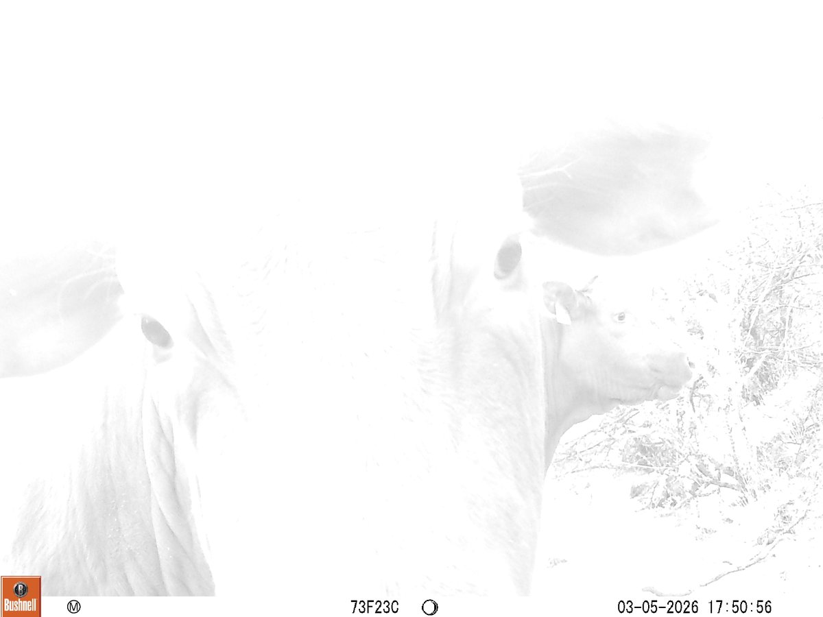 Melissa Crytzer Fry tweet media