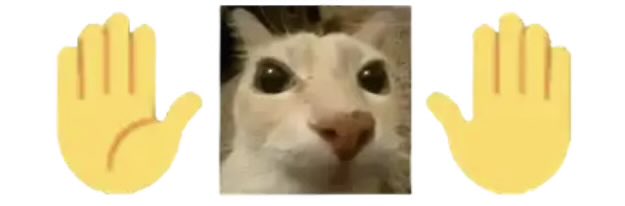 Perdí