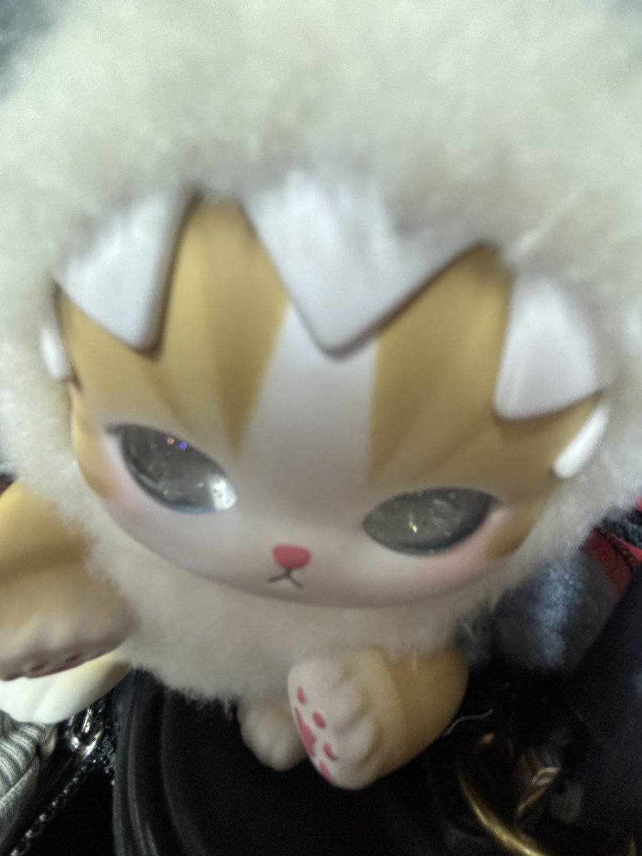 Ohayou dari neko chan 🦈🤍