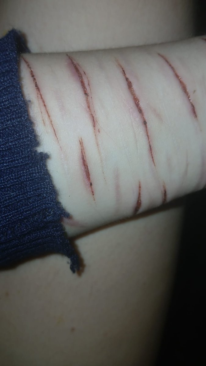 No se pq me encantan