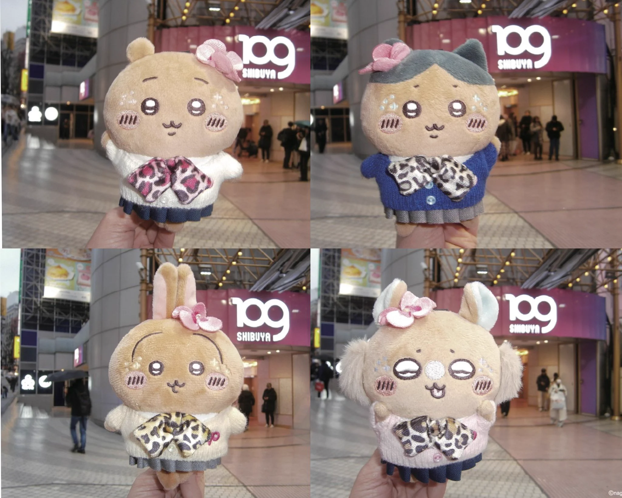 HDBTyFZbcAATSG-?format=webp&