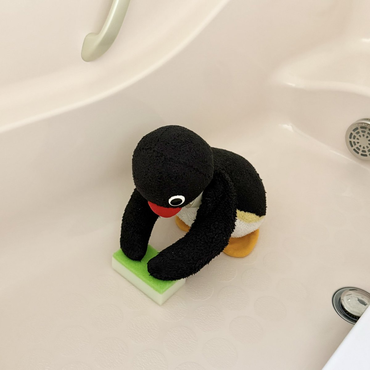 pingmyping tweet media