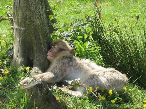 hay tanta paz en saber que nunca perderás lo que está destinado para ti