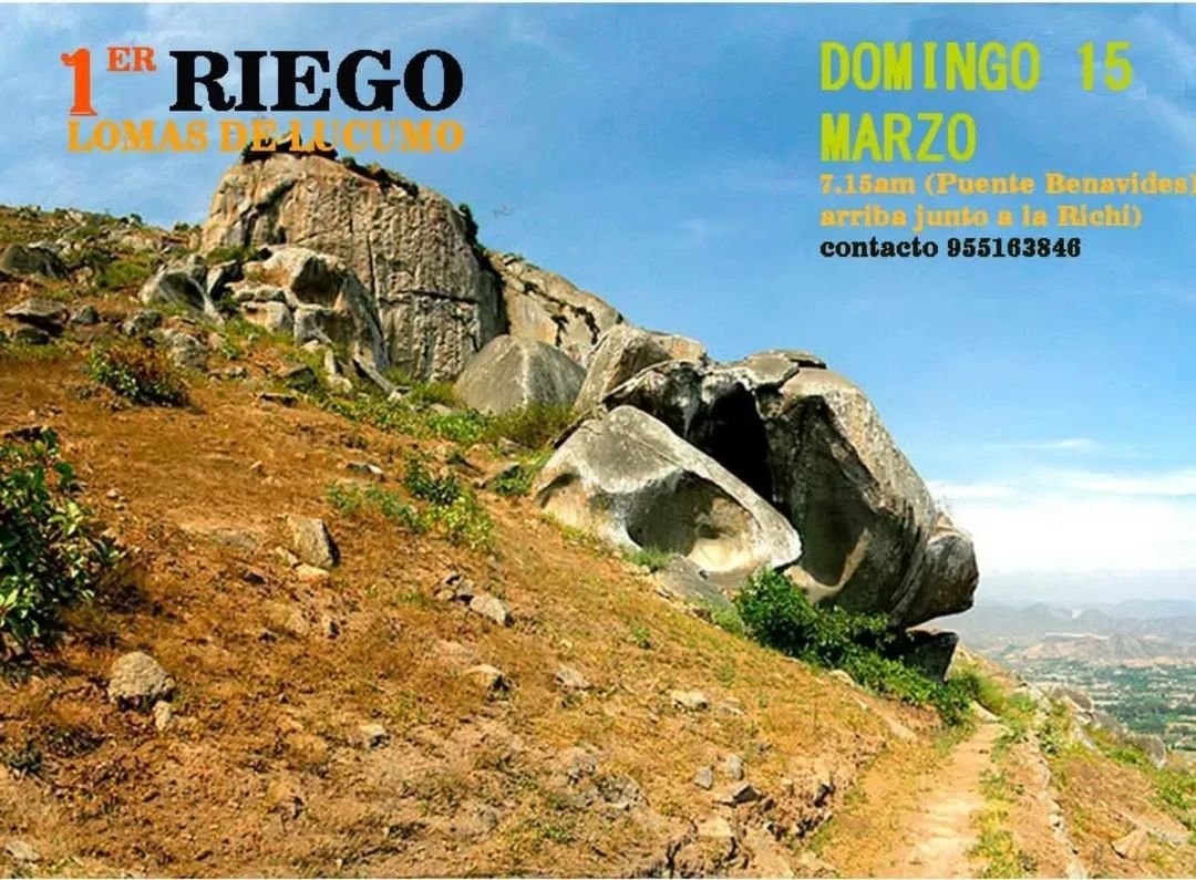 comandoecologic's tweet photo. 1er riego de.huarangos reforestados el 2025. https://t.co/PajCFRcfmW