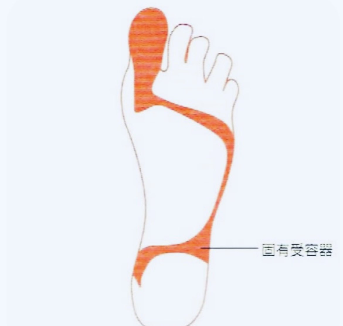 上原新（Arata Uehara）@筋肉チューニング整体院UROOM横浜関内 tweet media