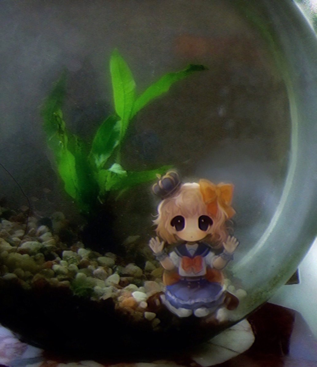 molly 🐌 tweet media