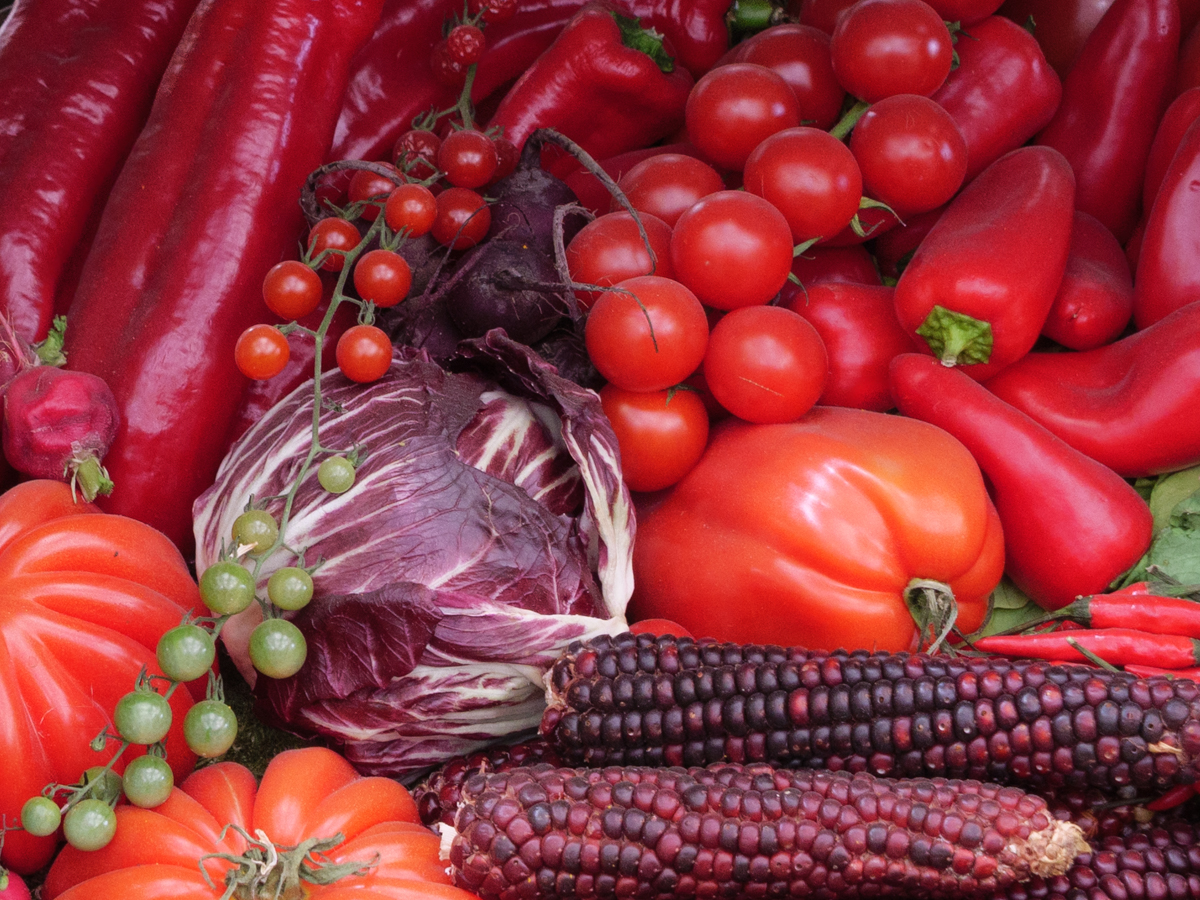 Daily Picture Theme tweet media