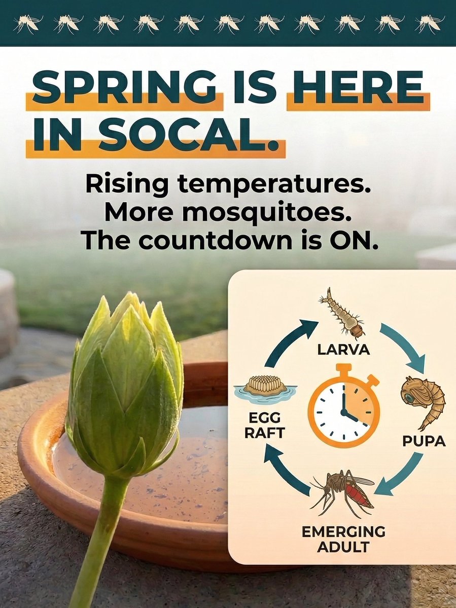 Compton Creek MAD tweet media