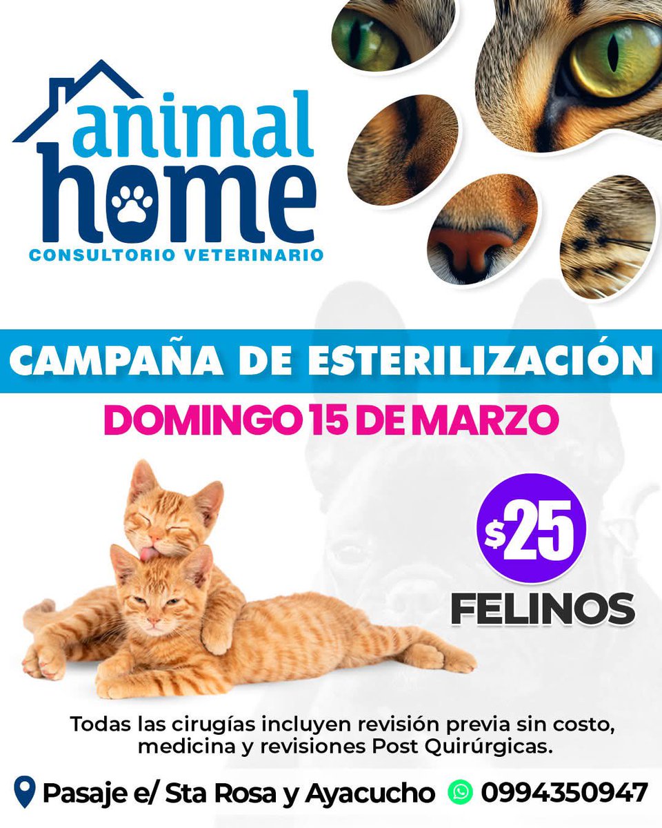 vjonathanfranco's tweet photo. #animalhomeconsultorioveterinario https://t.co/sDLS8LMBec