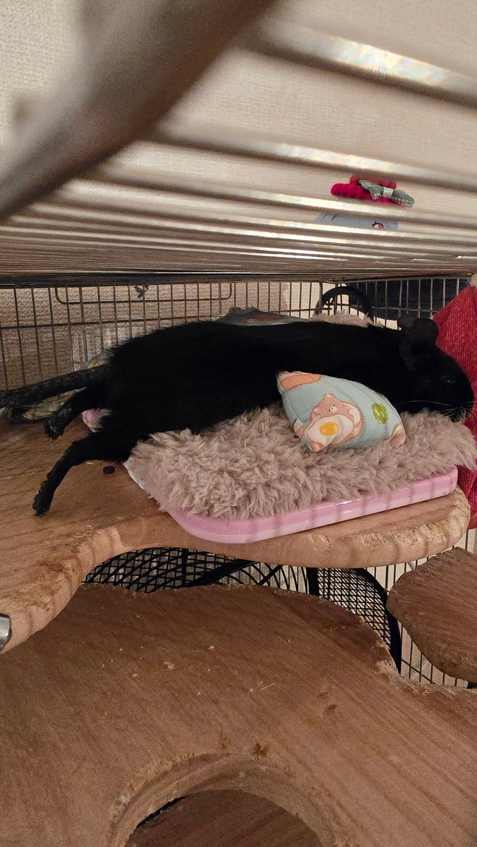 #自分が気に入ってる写真を1枚選んで無言で貼る