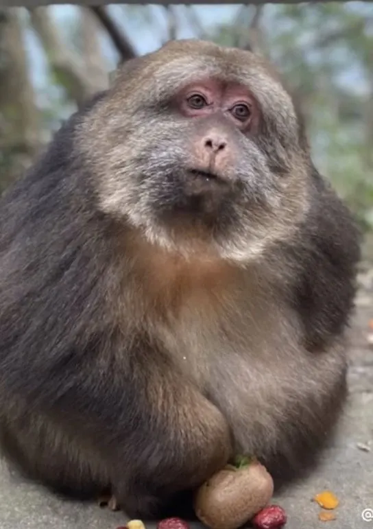 Mr.Trencher tweet media