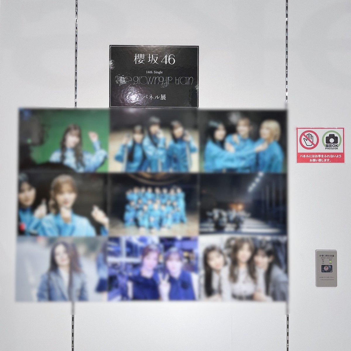 櫻坂46 】 ／ 14th Single 『 The growing up train 』 入荷しましたᯓ