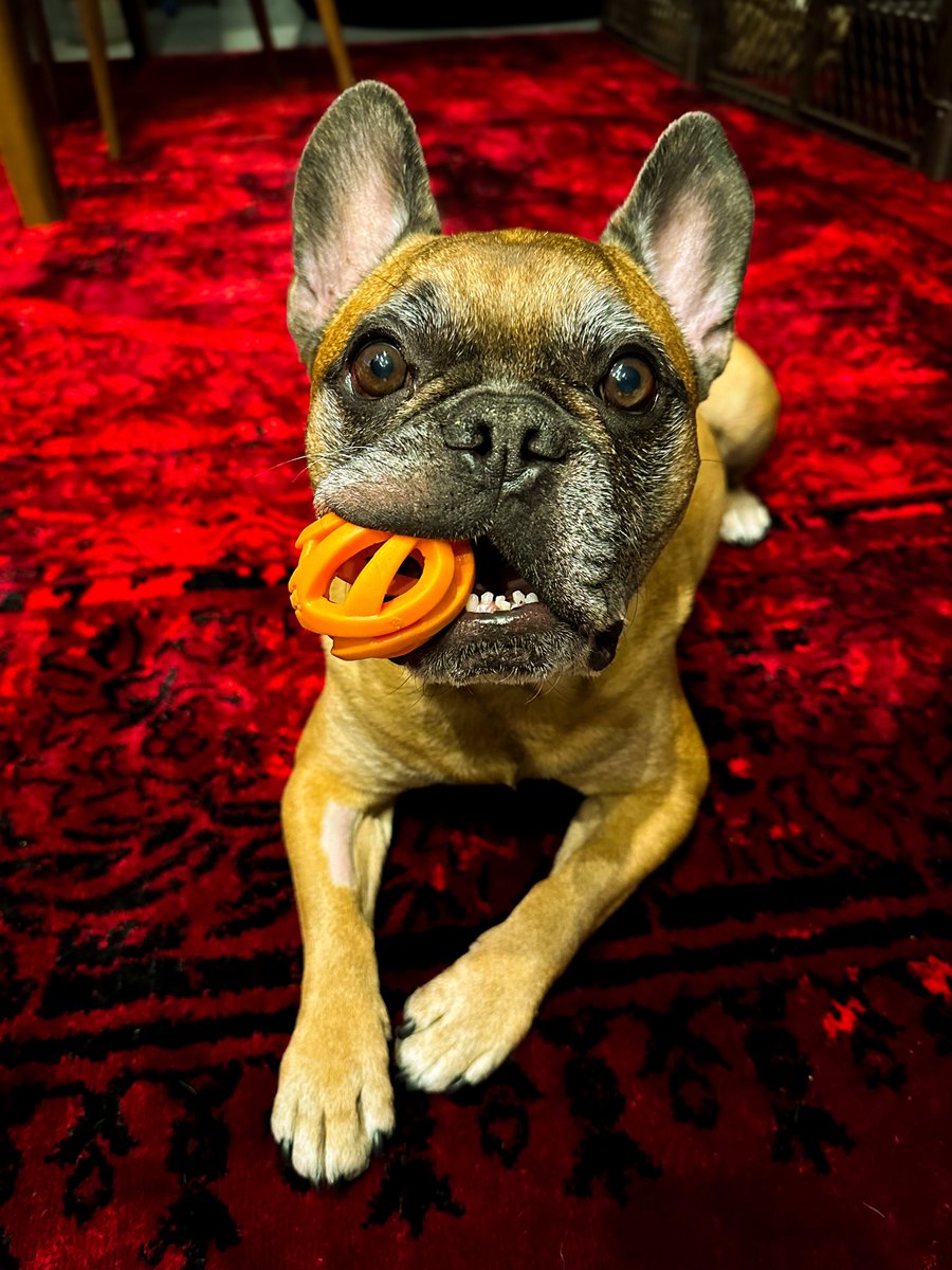 Pinot & Merlot tweet media