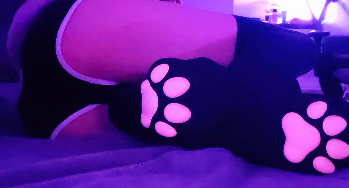 owoMigi's tweet photo. paws and ass for you freaks #femboy #nsfwtwt #paws #ass https://t.co/iDBR47KE0L