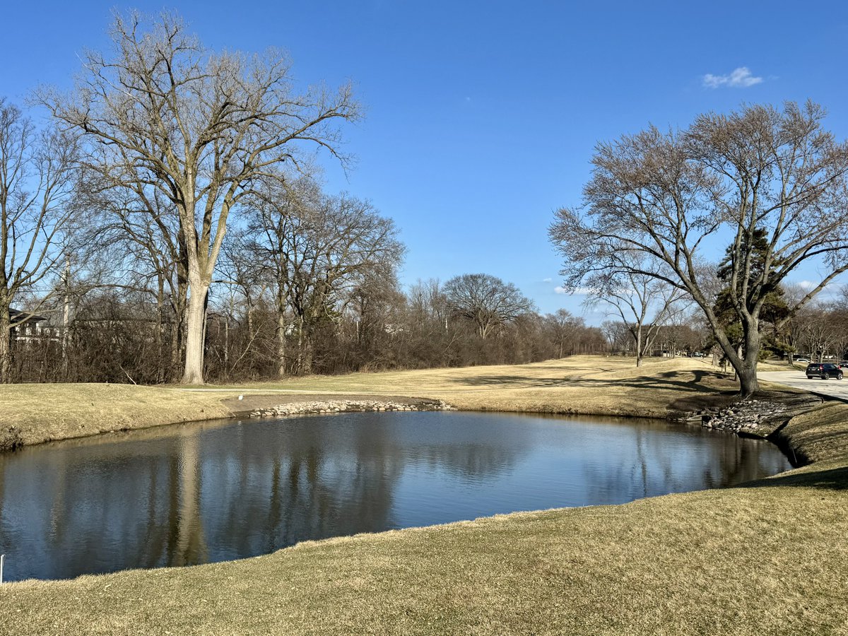 Pond-water reflections-bare trees-tree branches-grass-sunny-blue sky-Chicago weather 4:40-50pm March 9 2026 Northbrook Illinois USA -Editorial Use Permission w/Credit: Michael Heimlich <a href="/MichaelHeimlich/">Michael Heimlich</a>; #Pond #Reflections #Trees #BlueSky #Sunny #wx #ILwx <a href="/NWSChicago/">NWS Chicago</a> #StormHour