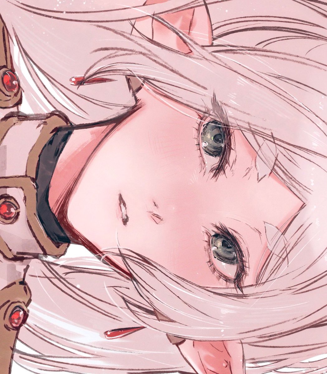 dodo/どう tweet media