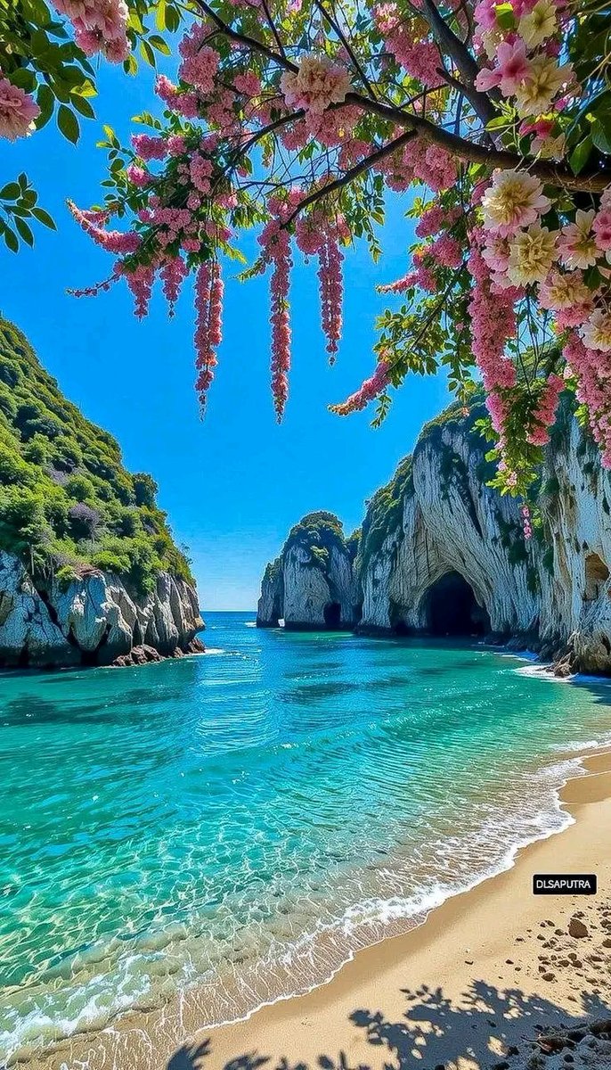 Izu web3🦅 tweet media