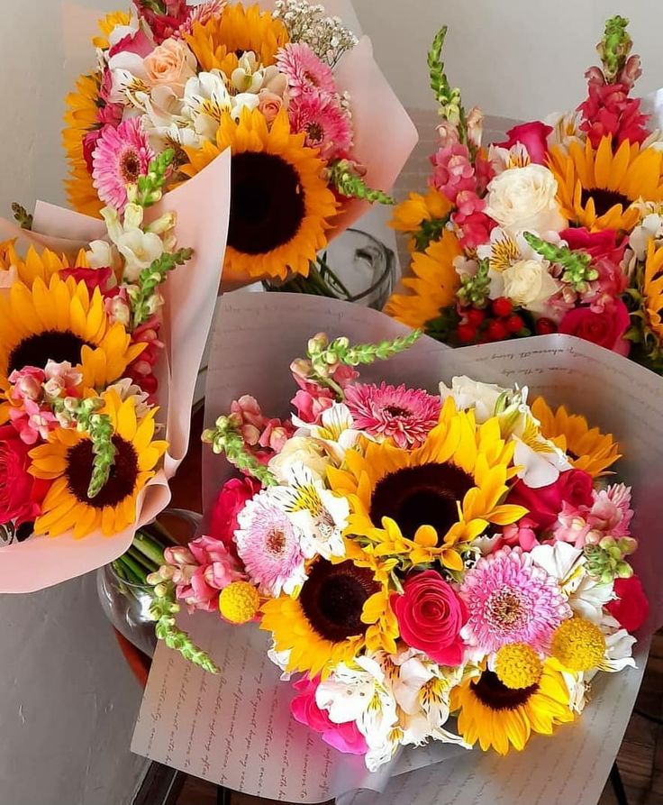 softpetalview's tweet photo. https://t.co/rCrekW3kXO