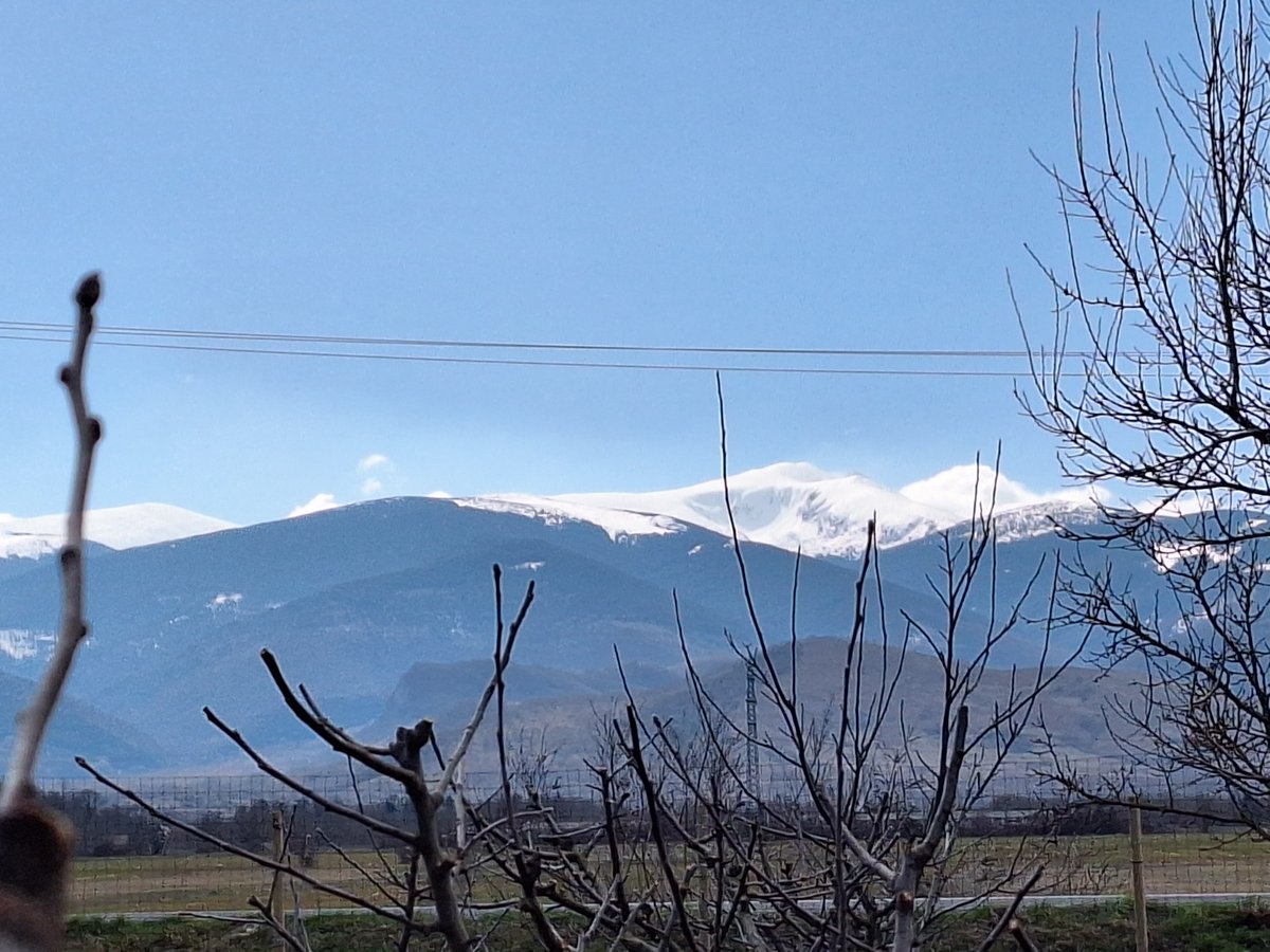 Notes from Transylvania tweet media