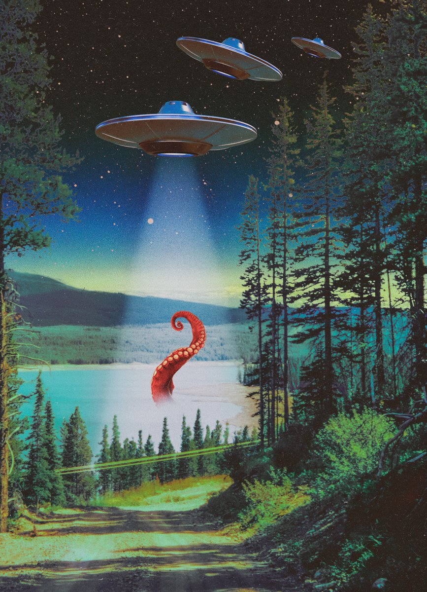 post wook ✨🌻 tweet media