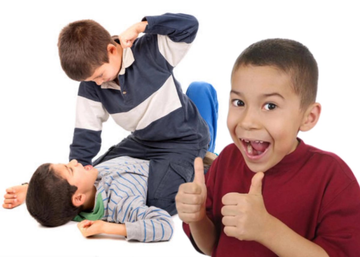 IDV Anything Bot tweet media