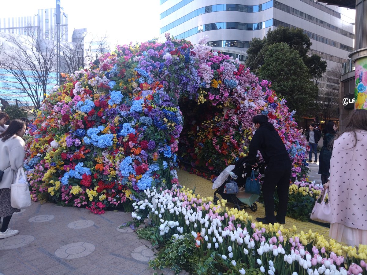 林田慎吾 tweet media