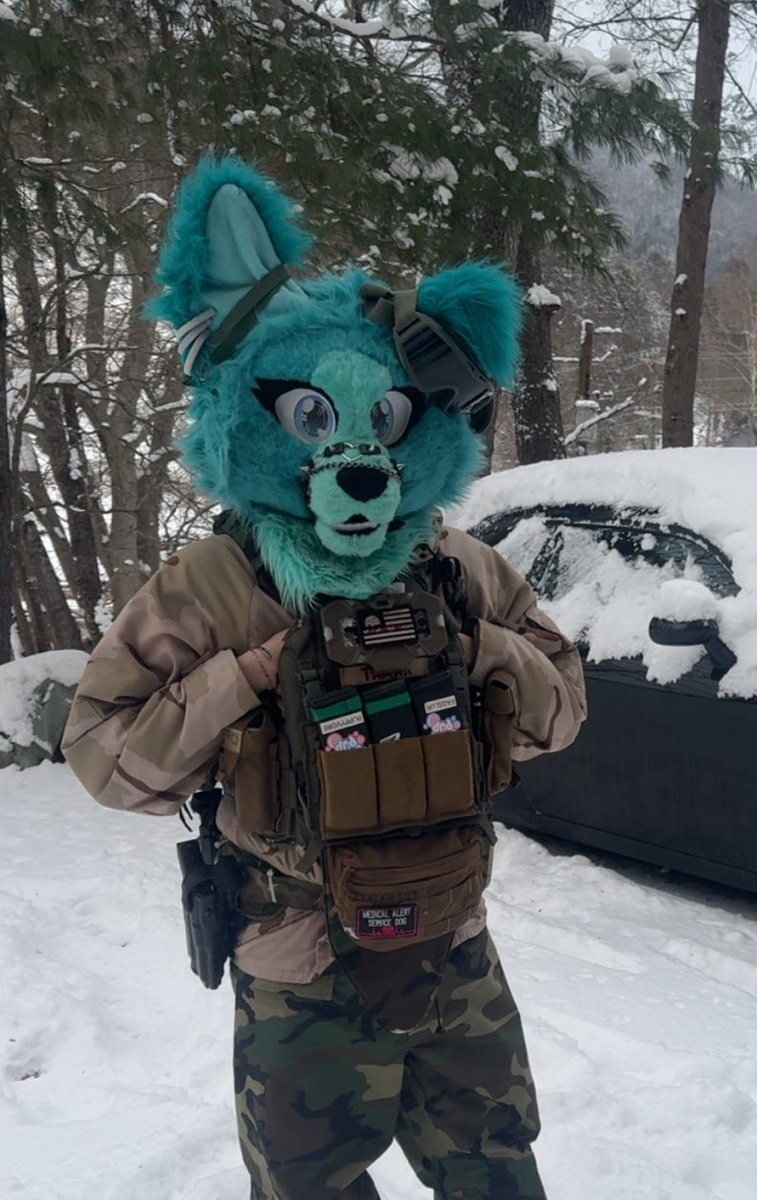 TRAXXTHEFURRY 🔜TBO tweet media