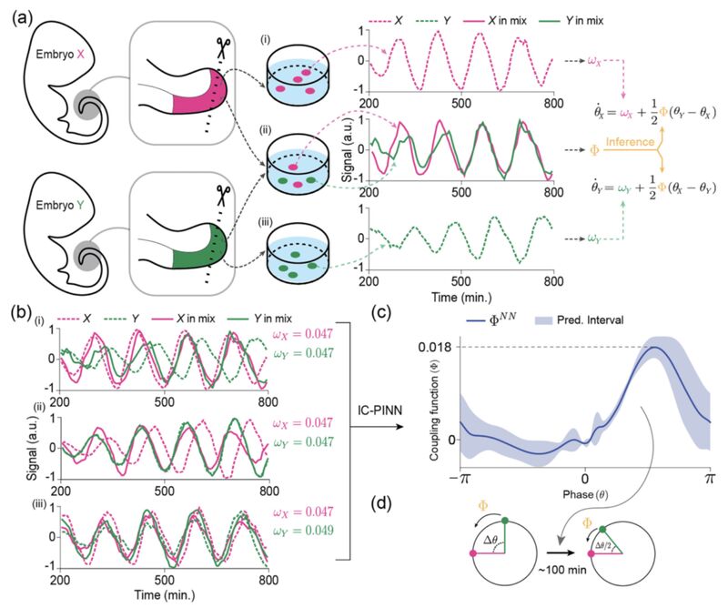 Jae Kyoung Kim tweet media