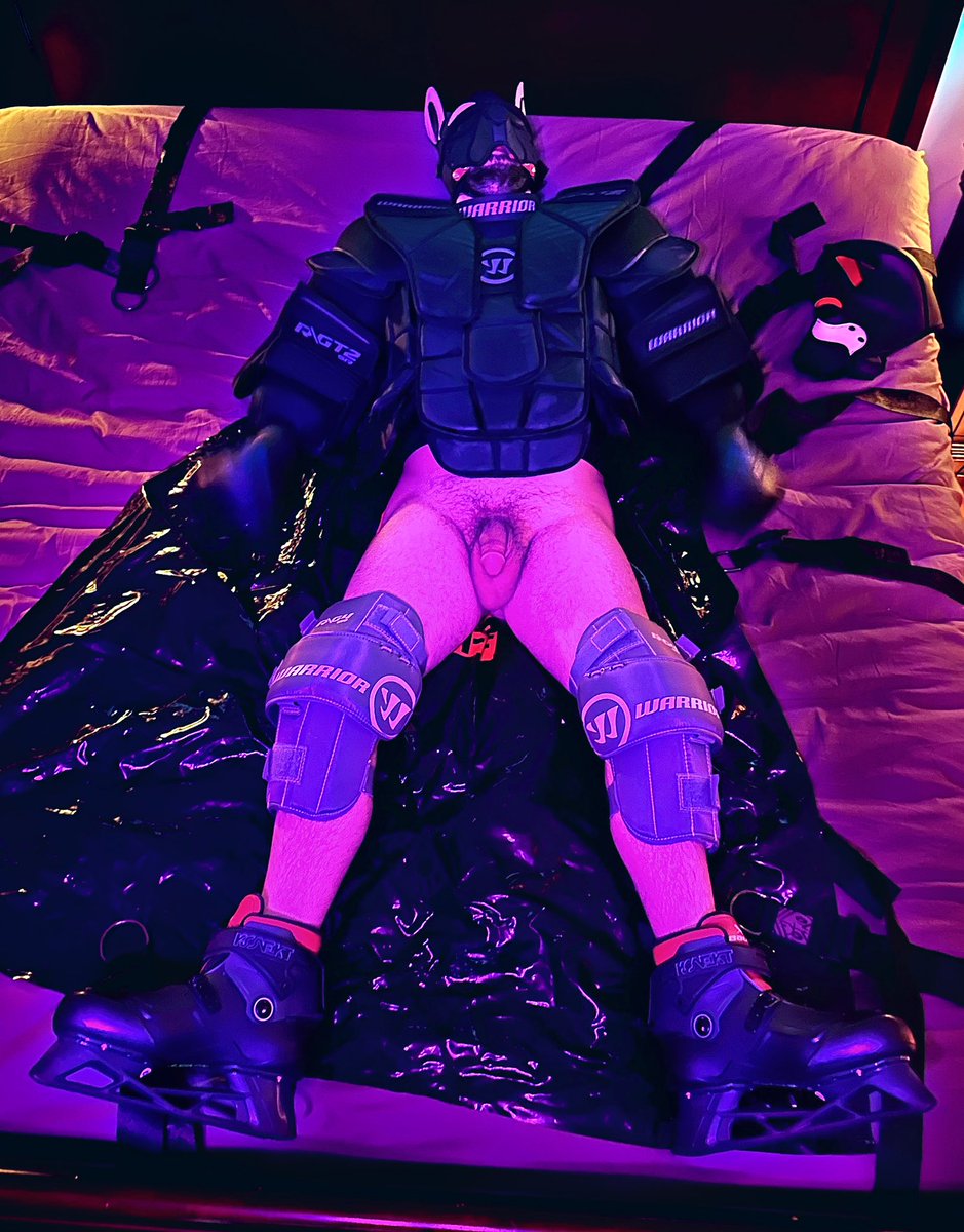 GoaliePups tweet media